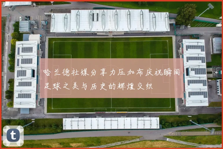 哈兰德社媒分享力压加布庆祝瞬间足球之美与历史的辉煌交织