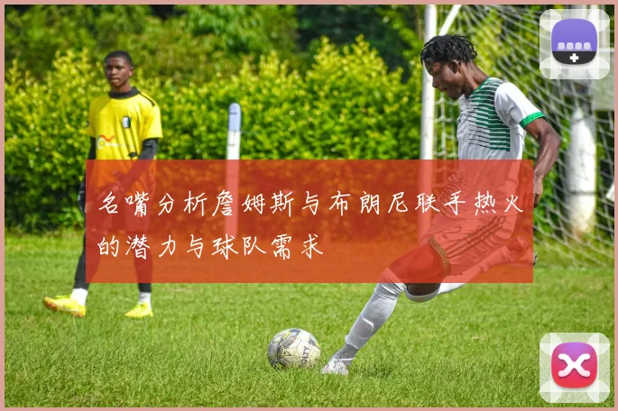 名嘴分析詹姆斯与布朗尼联手热火的潜力与球队需求