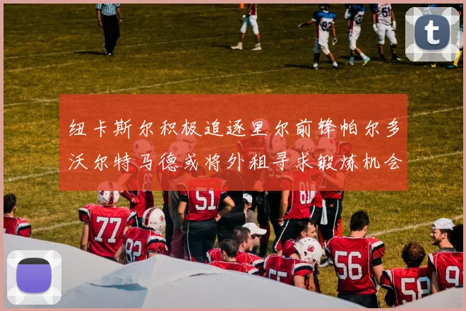 纽卡斯尔积极追逐里尔前锋帕尔多沃尔特马德或将外租寻求锻炼机会